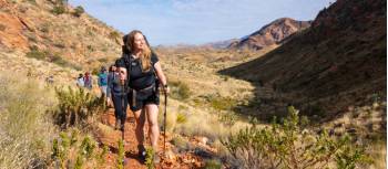 Our guides work hard to ensure your Larapinta walk is memorable | Luke Tscharke